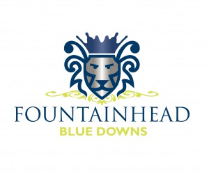 FOUNTAINHEAD Logo_blue downs-01.png